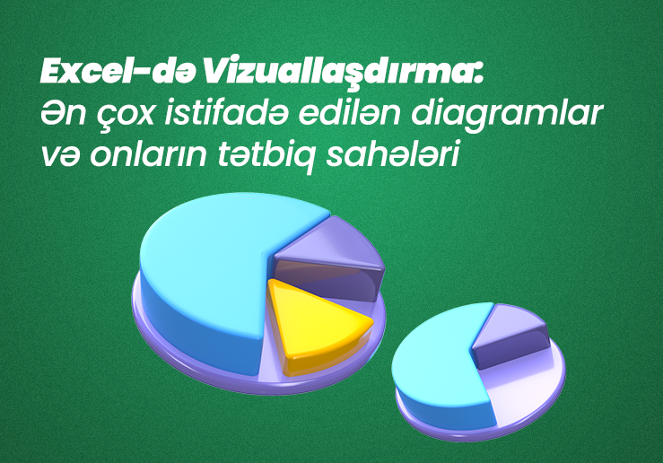 MS Excel-də Vizuallaşdırma: Ən Çox İstifadə Edilən Diagramlar və  Onların Tətbiq Sahələri.